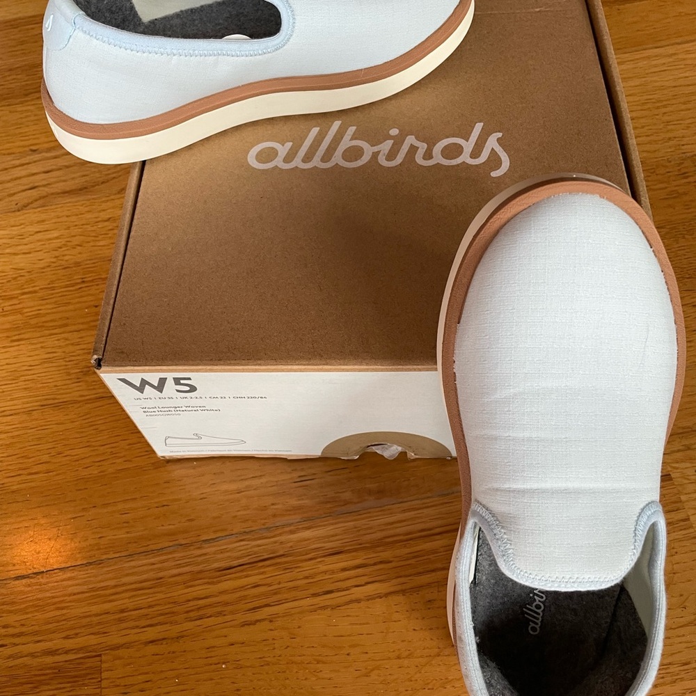 Allbirds Sky Blue Slip-On Sneakers